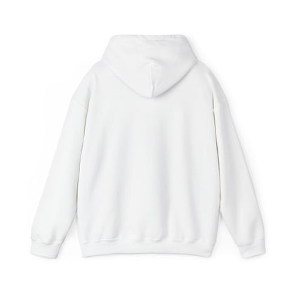 Comfort Hoodie — "It's Okay to Feel This Way" Mental Health Awareness Sweatshirt