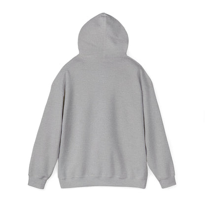 Comfort Hoodie — "It's Okay to Feel This Way" Mental Health Awareness Sweatshirt