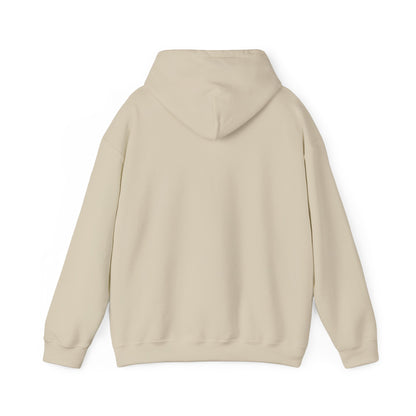 Comfort Hoodie — "It's Okay to Feel This Way" Mental Health Awareness Sweatshirt