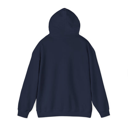 Comfort Hoodie — "It's Okay to Feel This Way" Mental Health Awareness Sweatshirt
