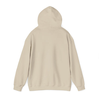 Comfort Hoodie — "It's Okay to Feel This Way" Mental Health Awareness Sweatshirt